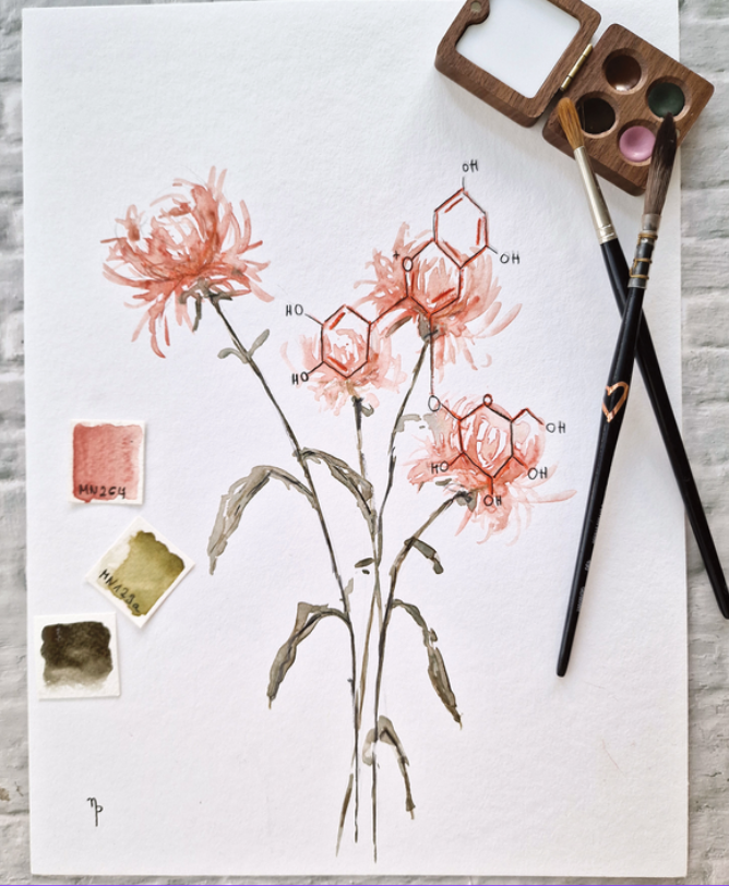 Profile picture for user aria